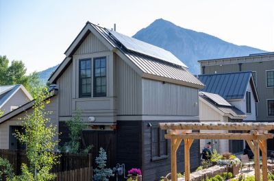 Academy Place | Bluebell