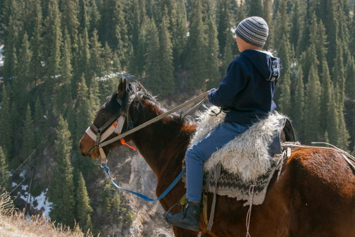 kid riding a horse