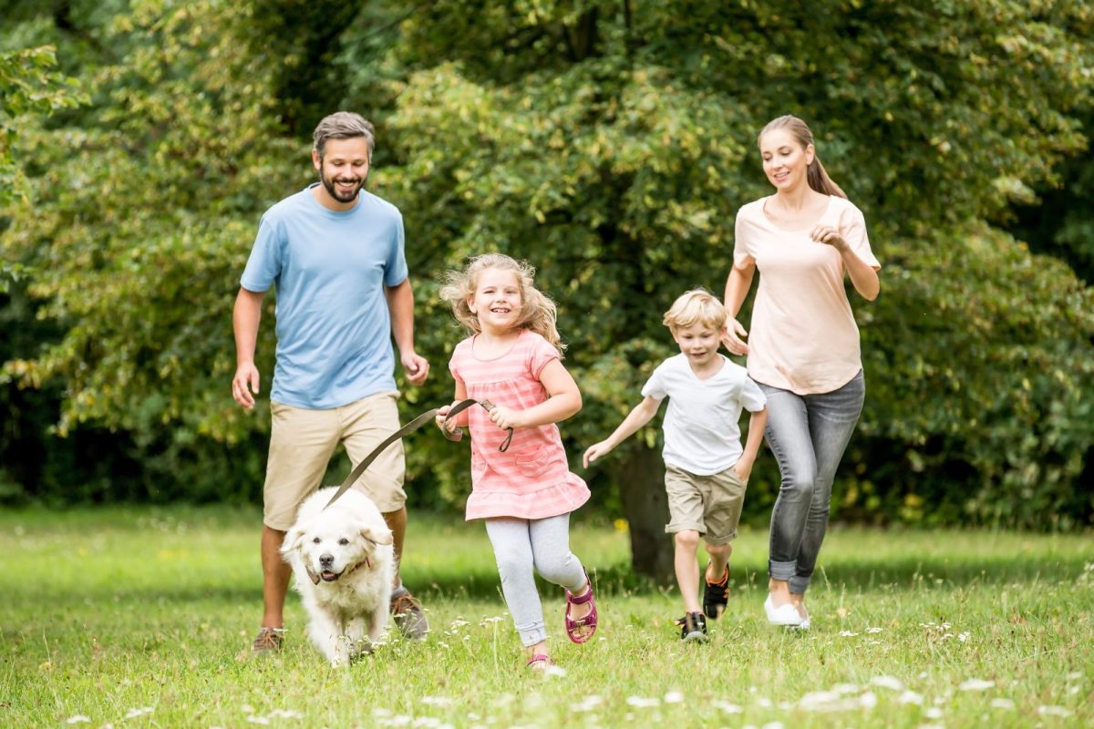Family with kids and dog in Crested Butte park.
