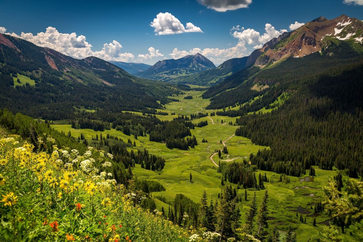 View of valley and wildflowers near Crested Butte.