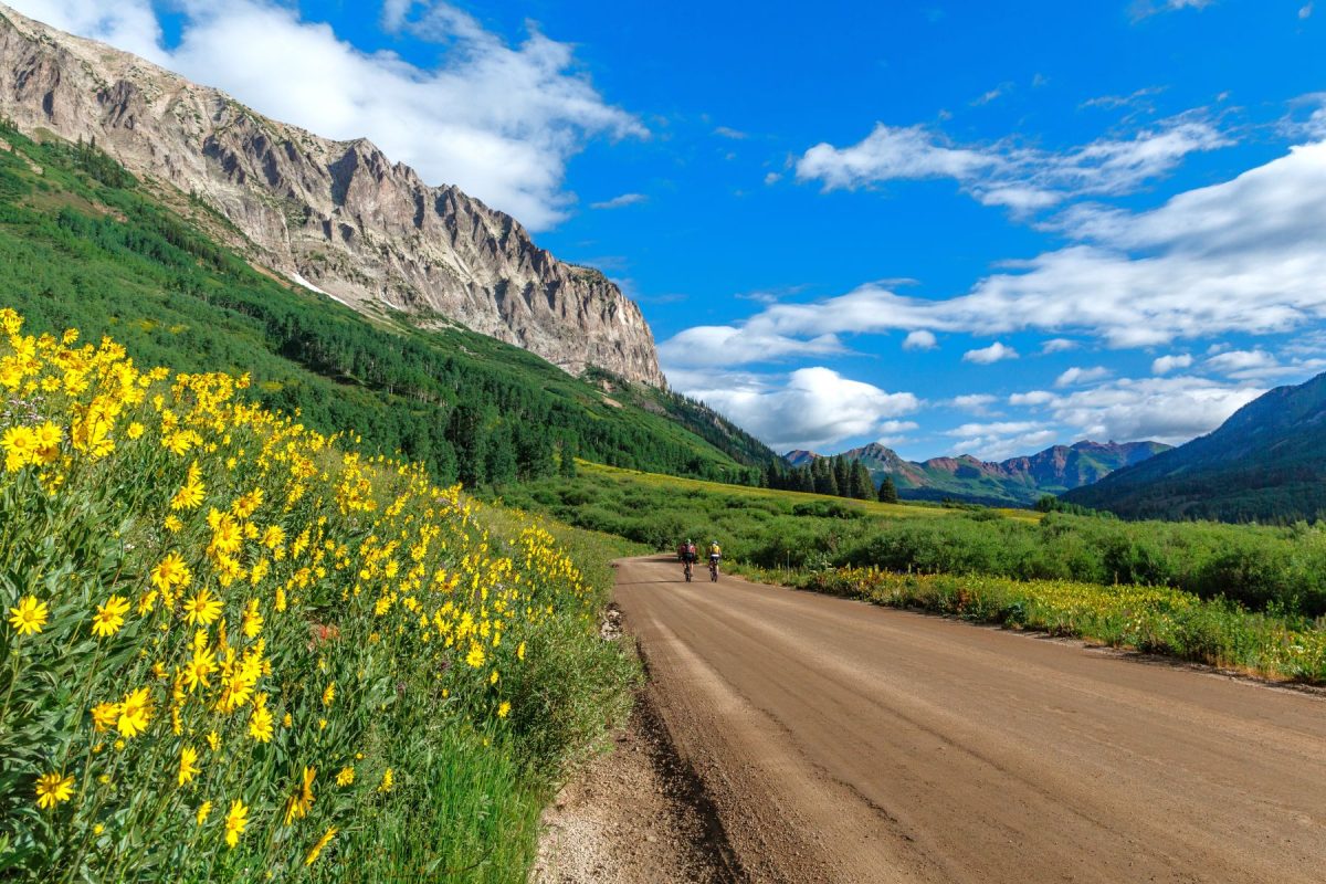 Riding bikes near crested butte
