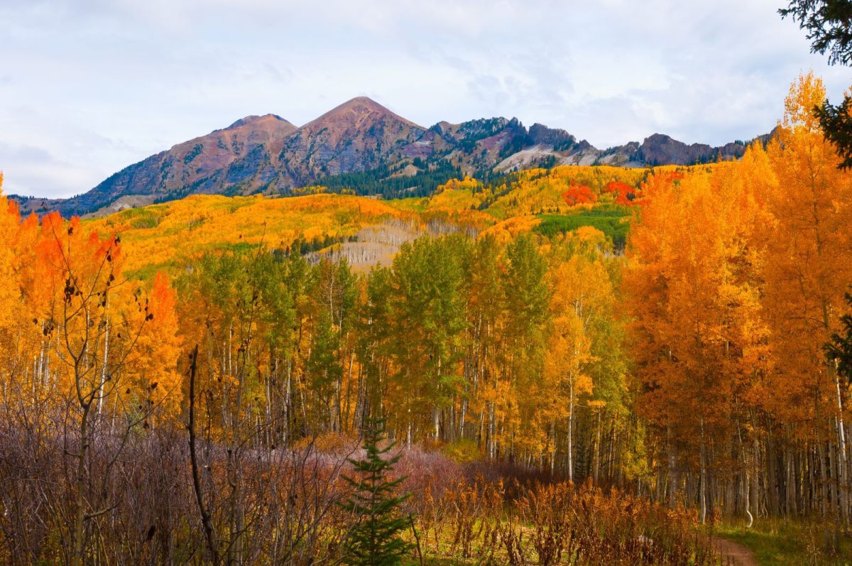 Crested Butte in the fall