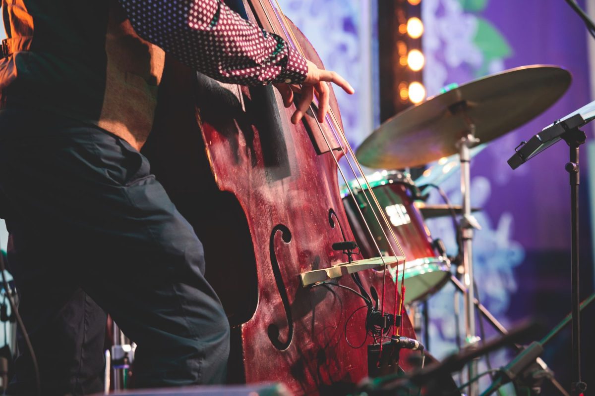 upright bass at jazz concert