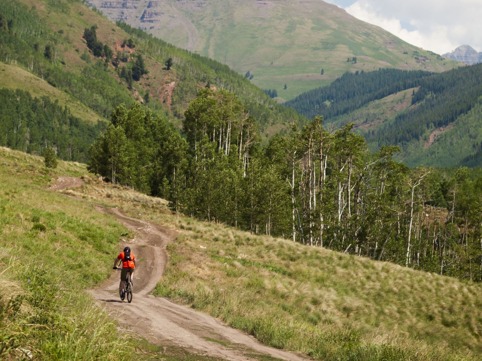 Mountain biking
